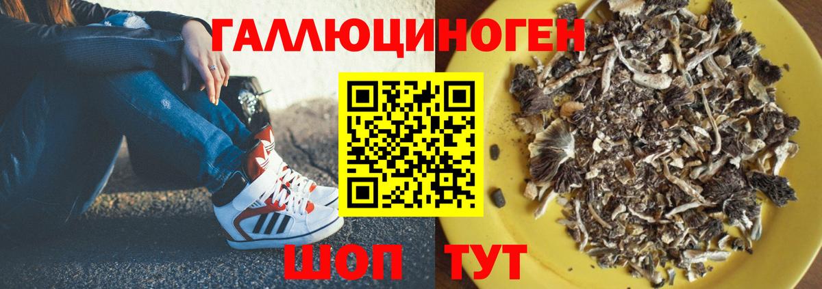Галлюциногенные грибы MAGIC MUSHROOMS Зеленодольск