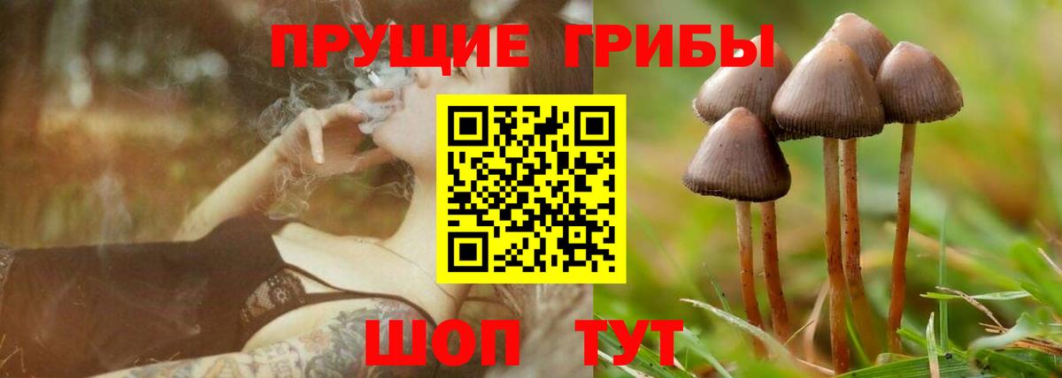 Галлюциногенные грибы Cubensis  Вход с VPN  Зеленодольск 